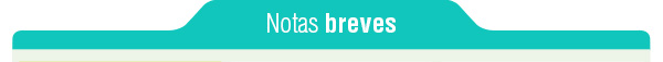Notas breves