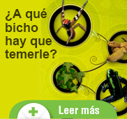 ¿A québicho hay que temerle?